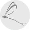 Mayfly Group Ltd logo