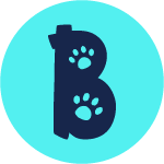 BOIS The Label logo