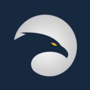 Eagle Eye Innovations logo