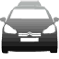 Driving With Ellis logo