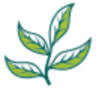 Cytoplan logo
