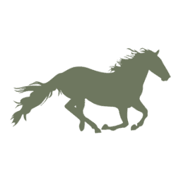 africanhorsesafaris.com logo