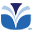 Viva Voyage logo