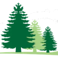 T.D Environmental Services logo