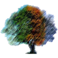Life Changes Therapy logo