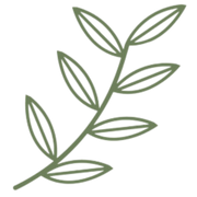 Botaniqueworkshop logo