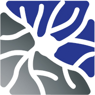 Axon Academy Online logo