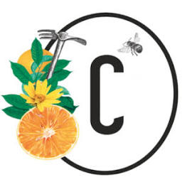 Les Candides logo