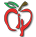 CIP Computer Consultancy logo