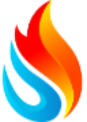 Taysidegasservices logo