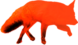 Cleverfox AI logo