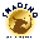 Tradingwithashley logo
