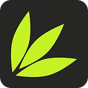 Spring Studio logo