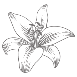 Lily Rose Kitchens logo