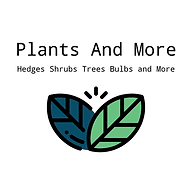 Plants and More logo
