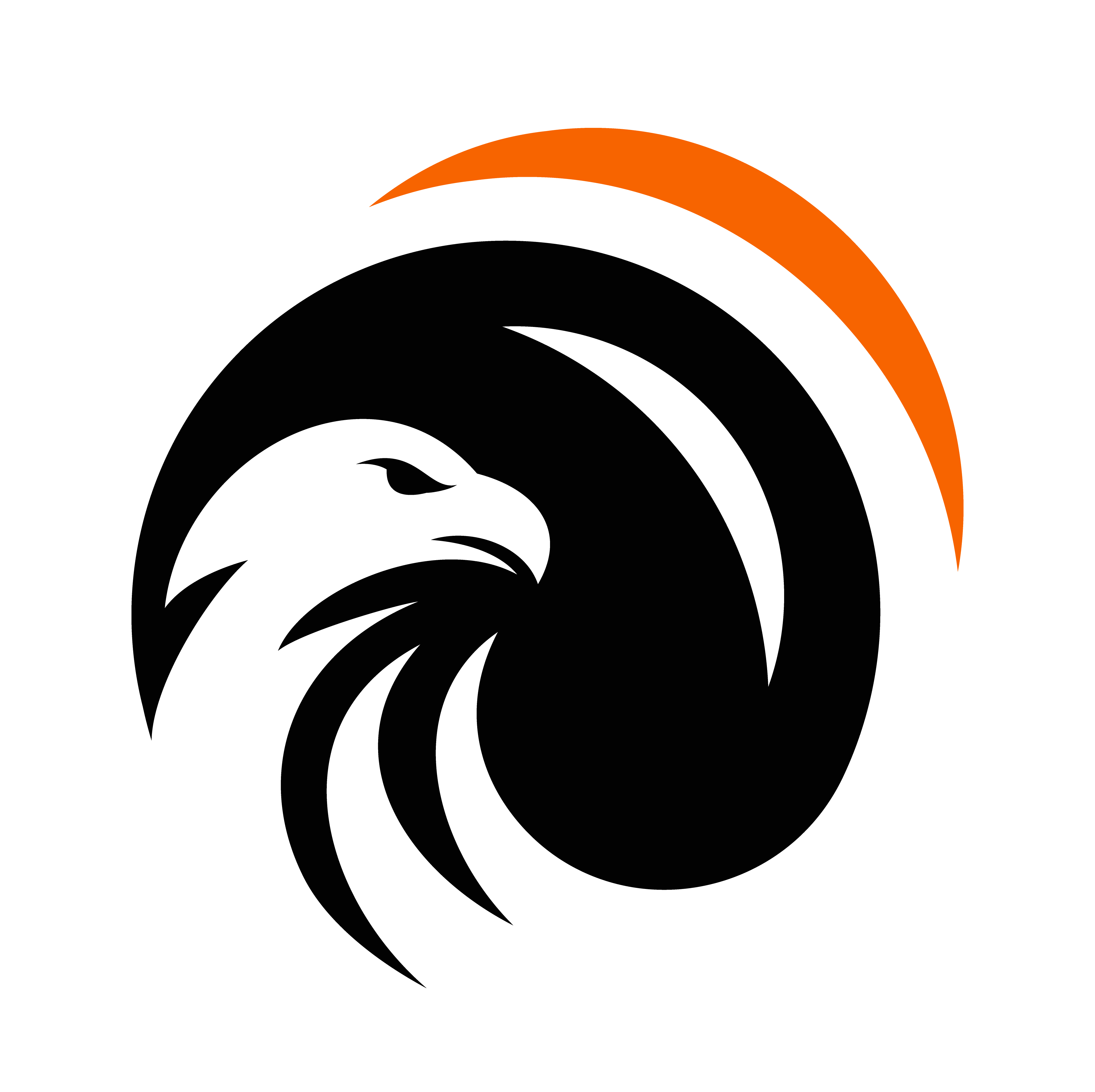 Ignite logo