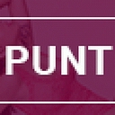 punterlinks.com logo