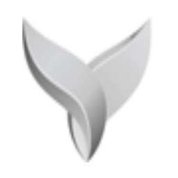 Platinumcarservice logo