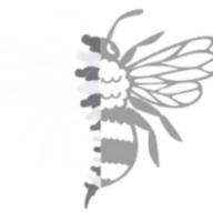 Ancoatschiropractic logo