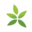 Ambius Indoor Plants Australia logo