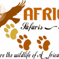 Africabig5safaris and Tours logo