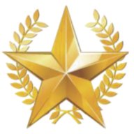 Gold Star Gas Services logo