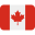 Casinoofthekings logo