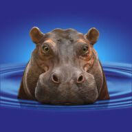 Hippoproducts logo