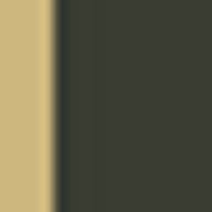 Callerton logo