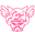 Caryscuttlefish logo