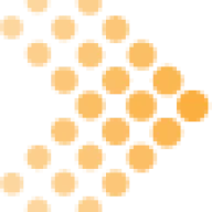 velessoftware.com logo
