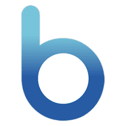 B1-Team logo