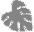 Eastern Tropicals logo