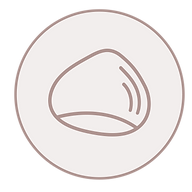 Little Chestnut logo