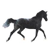 Shadow Horse logo