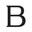 Benjamin James Watches logo