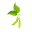TOFU CHAT logo