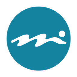 Wellnow logo