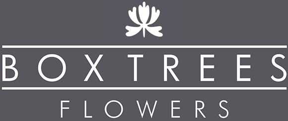 Boxtreesflowers logo