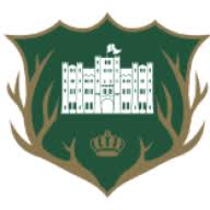 Camelot Castle Hotel logo