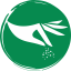 Pitada Brazil logo
