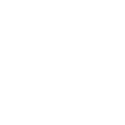 Maison Sport logo