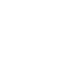 Chosen by Customers logo