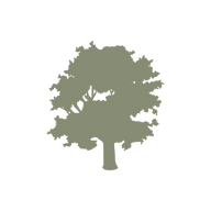 Springwood Tree Services logo