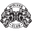 DARC SPORT logo