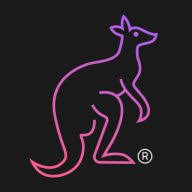 Techykangaroo logo