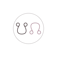 Die Manifestorin logo