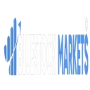 Bluestockmarkets logo