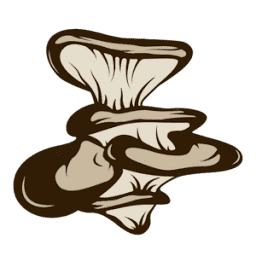 Organic Mushrooms logo