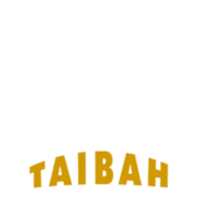 Taibah Travels logo